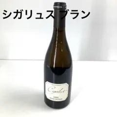 2026年最新】シガリュスの人気アイテム - メルカリ