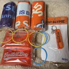 RIP SLYME クリアポーチ アクリルキーホルダー ハンドタオル GIGO