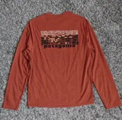 patagonia パタゴニア Capilene Cool Daily Tシャツ