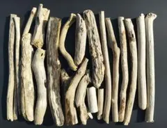 Item thumbnail for item 444f1997-5244-4ea8-a2f6-d4a7b05d6006