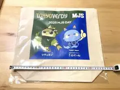 東京ヴェルディ 「リヴェルン トートバック」 【非売品】 約36cm