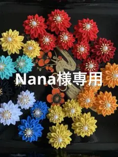 【Nana様専用】
