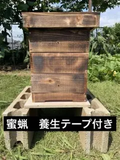 日本ミツバチ巣箱 日本みつばち巣箱 日本蜜蜂巣箱 重箱式 下開き戸 135