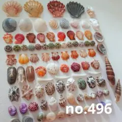 no.496 ウニ殻と天然ミニ貝殻 セット