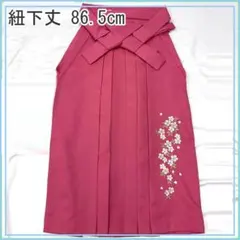 Item thumbnail for item dd87a528-bf9e-48a3-88f9-b2395bebbe84