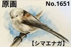 【シマエナガ】手描きイラスト 原画 《1651》