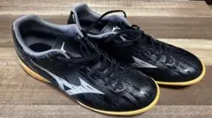 モナルシーダネオ