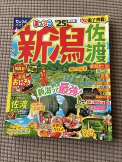 Item thumbnail for item d6a5a144-a97a-45fd-b3fe-2283e6c4eaa0