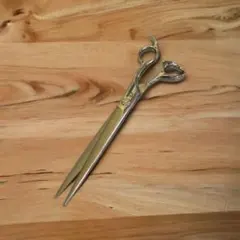 Item thumbnail for item 149cbe2c-0358-4d74-9cc9-870b6a144ce8