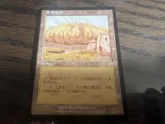 MTG 黄塵地帯 日本語版