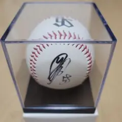 サインボール 応援グッズ