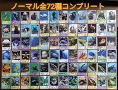 コンプセット】鳥羽水族館 TOBA AQUARIUMコレクションカード 72枚