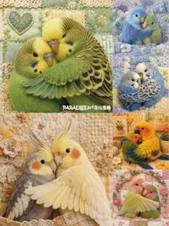 PARADISEパネル生地　 インコ柄　P633