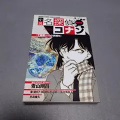 Item thumbnail for item e69a40f4-02e0-4e8b-aba9-f2b52d18e413