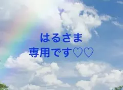はるさま♡♡ 専用です