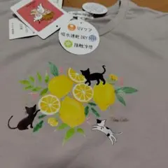 Item thumbnail for item 26b9ca89-533b-424f-9847-f4ec09382785