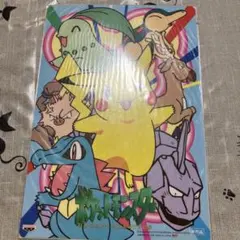 非売品 下敷き ポケモン ワニノコ チコリータ ピカチュウ イワーク