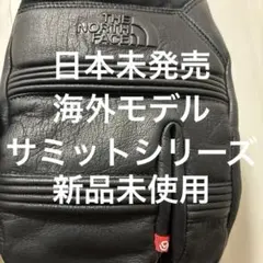 日本未発売 海外モデル ノースフェイス ゴアテックス グローブ 新品未