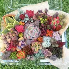 SORA♡今は購入専門です❤︎様 リクエスト 2点 まとめ商品