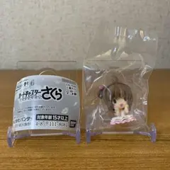 カードキャプターさくら4 ハグコット ケーブルアクセサリー さくら B ver.