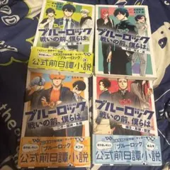 Item thumbnail for item e67fdf4a-763a-4a7b-9b4b-15da832693ad