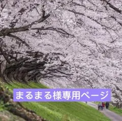 まるまる様専用ページハーキマーダイヤモンド　長さ約50㌢ネックレス(149-1)