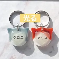 Item thumbnail for item 627199ca-8cfc-48f0-ad81-b25425bf603b