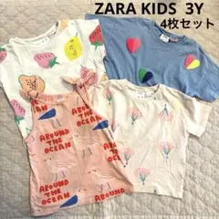 ZARA kids ザラキッズ　Tシャツセット　3Y