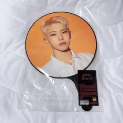 SEVENTEEN BE THE SUN ウォヌ うちわ SEVENTEEN ウォヌ うちわ BE THE SUN SEVENTEEN ウォヌ うちわ Be The