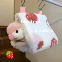 Item thumbnail for item c0ae1b55-40cd-4ffa-b4f6-610944ae695e