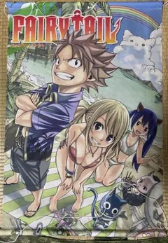 2026年最新】FAIRY TAIL タペストリーの人気アイテム - メルカリ