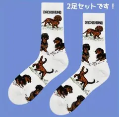 #551♡ダックス♡靴下2足組♡
