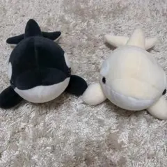 Item thumbnail for item 08543536-433b-4ccf-ac33-14321c6bb0e7