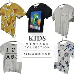 120cm キッズ Tシャツ 5枚セット H&M・SHISKY 男の子