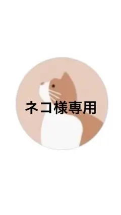 Arai ヘルメットのサムネイル