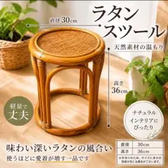 2026年最新】座椅子 籐 ラタンの人気アイテム - メルカリ