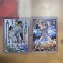 Item thumbnail for item 7cae76f0-de7f-4a84-aa3f-5786fad9e36a