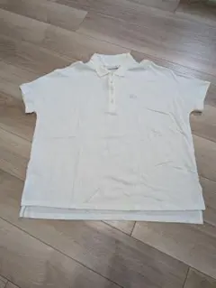 Item thumbnail for item 4248e307-b2a3-440a-9dde-e96b37458ca5