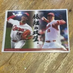 クリアファイルまとめ売り