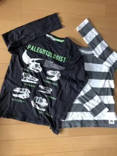 H&M コットン　長袖Tシャツ 恐竜　2枚セット