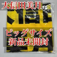 大信田美月 公式ビブス2024 ビッグサイズ 新品未開封 ニアジョイ ≒JOY 2025年最新】大信田美月 ビブスの人気アイテム - メルカリ