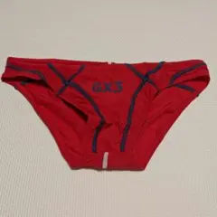 本日限定特価　新品未使用　GX3 Sheer SWIMWEAR L