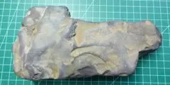 津軽海峡 珪化木？化石？ 水石 鑑賞石 自然石 紋様石 盆栽石 - メルカリ