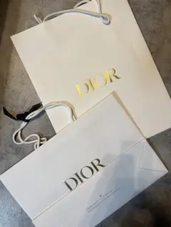 【美品】Dior ディオール ショッパー2枚セット