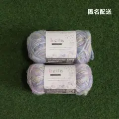 キャンドゥ レイラ 毛糸 2番 2玉 　ごしょう産業