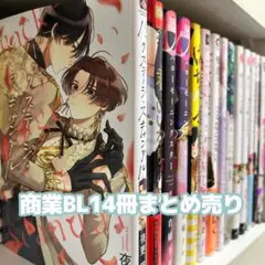 商業BL まとめ売り ⑳ BL漫画14冊