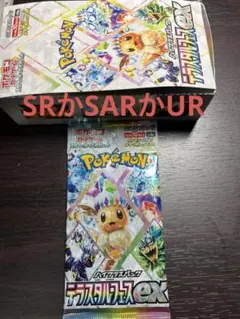 テラスタルフェスex バラパック　ラスト1パック　ポケモンカード