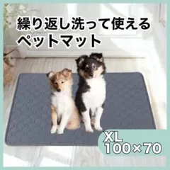 Item thumbnail for item ad9897df-6843-46df-acf4-ffe53b1e8c97