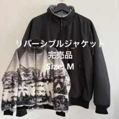【完売品】Schott / REVERSIBLE WARM UP JKTのサムネイル