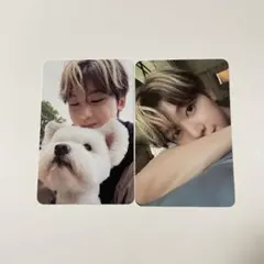 ZB1 NEVER SAY NEVER トレカ マシュー 犬 レオ デジパ